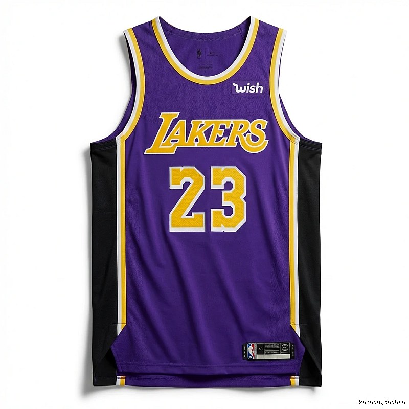 LBJ Lakers retro purple jersey