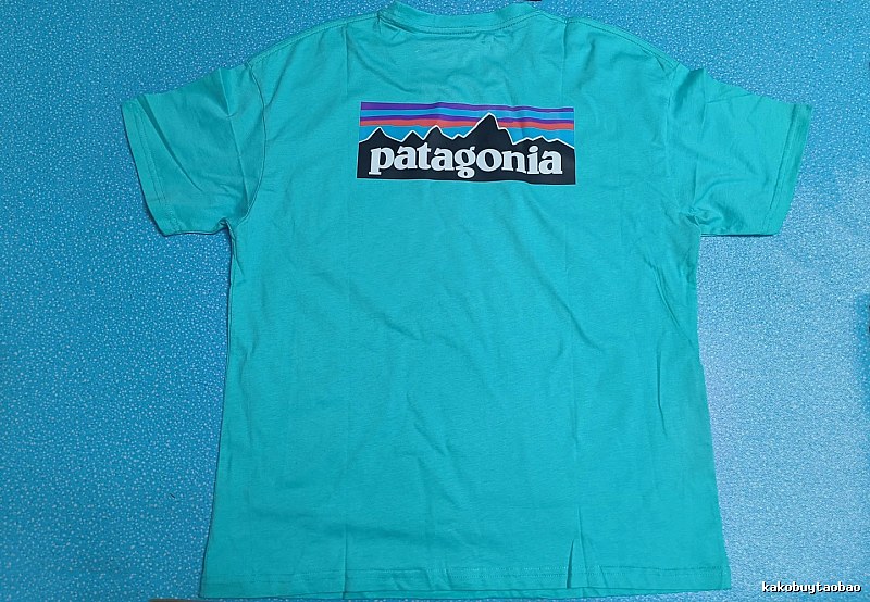 Patagonia Blue Logo T-Shirt Training Look Graphic